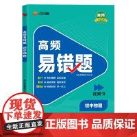 高频易错题 初中物理