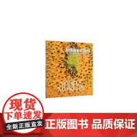 蜜蜂授粉的奥秘(扫码看视频·轻松学知识)