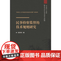 民事检察监督的技术规则研究