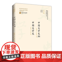 民国时期中国文学史著作整理丛刊·中国文学史纲 中国文学史 欧阳溥存、高丕基 崇文书局 正版书籍