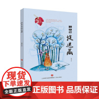 心灵花园丛书:跟自己捉迷藏