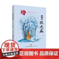 心灵花园丛书:跟自己捉迷藏