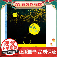 萤火虫环游记