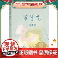 中文分级阅读K1 流星花(亲近母语)