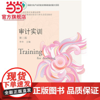 审计实训(第二版)