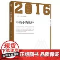 2016年中篇小说选粹