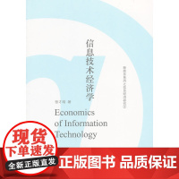 信息技术经济学 张才明 商务印书馆 正版书籍