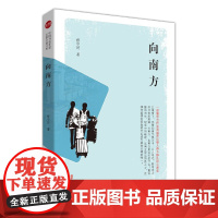 向南方(实力榜·中国当代作家长篇小说文库)
