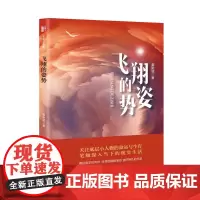 飞翔的姿势 (锐势力.名家小说集)