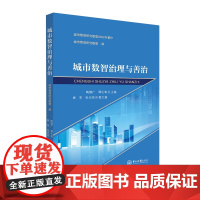 城市数智治理与善治