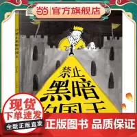 星空世界精选图画书 “亲近黑暗”系列绘本 禁止黑暗的国王