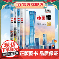 童书 中国高铁中国桥中国楼中国港精装中国超级工程丛书系列青少年建筑科普百科知识6-9-12-14岁阅读书籍