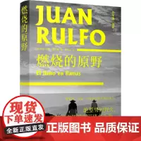 燃烧的原野(“绝望势如野火,将硬牛皮般的平原烧个干净” 拉美现代文学的开创 胡安·鲁尔福 译林出版社 正版书籍