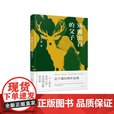 别雅山谷的父子 迟子建 百花文艺出版社 正版书籍