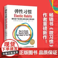 弹性习惯(译成21种语言的书,《微习惯》作者重磅新作)