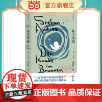 井中男孩 斯蒂芬·安德雷斯 江苏凤凰文艺出版社 后浪正版书籍