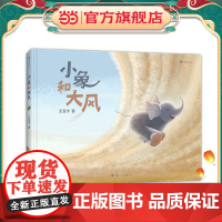 小象和大风