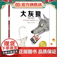 大灰狼(趣玩升级版) 麦克米伦世纪童书