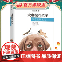 大咖拉布拉多和它的朋友们