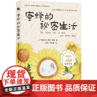 蜜蜂的秘密生活:入选英美中学课堂教材 抚慰六百多万个心灵(同名电影原著小 苏·蒙克·基德 译林出版社 正版书籍