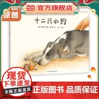 正版童书 十二只小狗