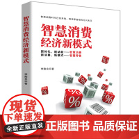 智慧消费经济新模式