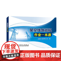 架空线路巡视作业一本通