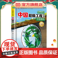 中国超级工程丛书中国盾构