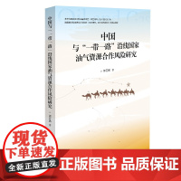 中国与“一带一路”沿线国家油气资源合作风险研究