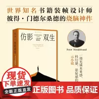 仿影双生:一部小说复制品