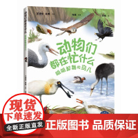动物们都在忙什么:翩翩起舞的鸟儿(“赛思叔叔的十万个为什么”丛书)