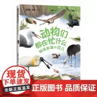 动物们都在忙什么:翩翩起舞的鸟儿(“赛思叔叔的十万个为什么”丛书)