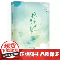 你是我整个世界