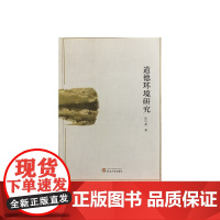 道德环境研究 文化研究 正版书籍