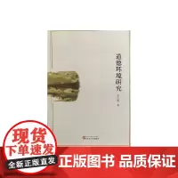 道德环境研究 文化研究 正版书籍