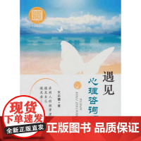 遇见心理咨询师 朱志慧 首都经济贸易大学出版社 正版书籍