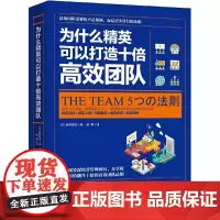 为什么精英可以打造十倍高效团队(日本年度企业团购热门图书) 麻野耕司 湖南文艺出版社 正版书籍