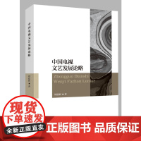中国电视文艺发展论略