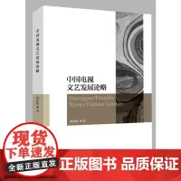 中国电视文艺发展论略