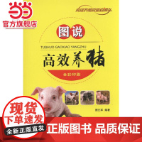 图说高效养猪