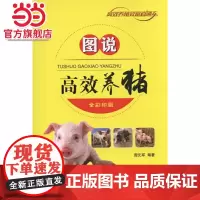 图说高效养猪