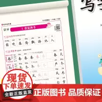 司马彦字帖 小学生一年级上下册练字帖写字课课练2024版1年级人教版语文教材同步练习册儿童生字笔画笔顺每日一练(套装共2