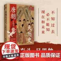 []唐朝大历史 解读唐朝历史的扛鼎之作学习历史百搭之书海量文献参考见解独到干货十足二十一位皇帝九大历史节点 正版书籍
