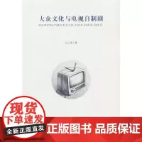 大众文化与电视自制剧