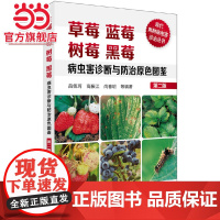 现代果树病虫害诊治丛书--草莓蓝莓树莓黑莓病虫害诊断与防治原色图鉴(第二版) 吕佩珂 化学工业出版社 正版书籍