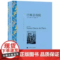 巴黎圣母院 (译文名著精选) 雨果 管震湖 译 上海译文出版社 正版书籍