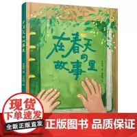 在春天的故事里