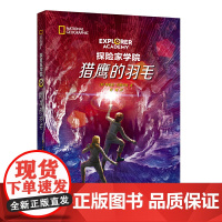 探险家学院·猎鹰的羽毛