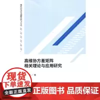 高维协方差矩阵相关理论与应用研究