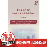 中国文化产业的金融供给侧结构性改革研究